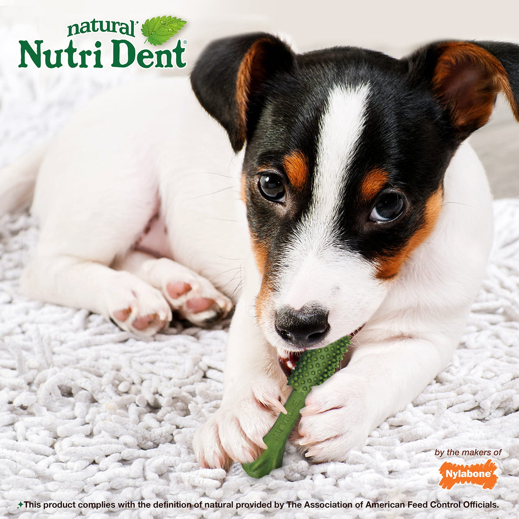 Natural Dog Dental Chews, Small 28 Count O55915